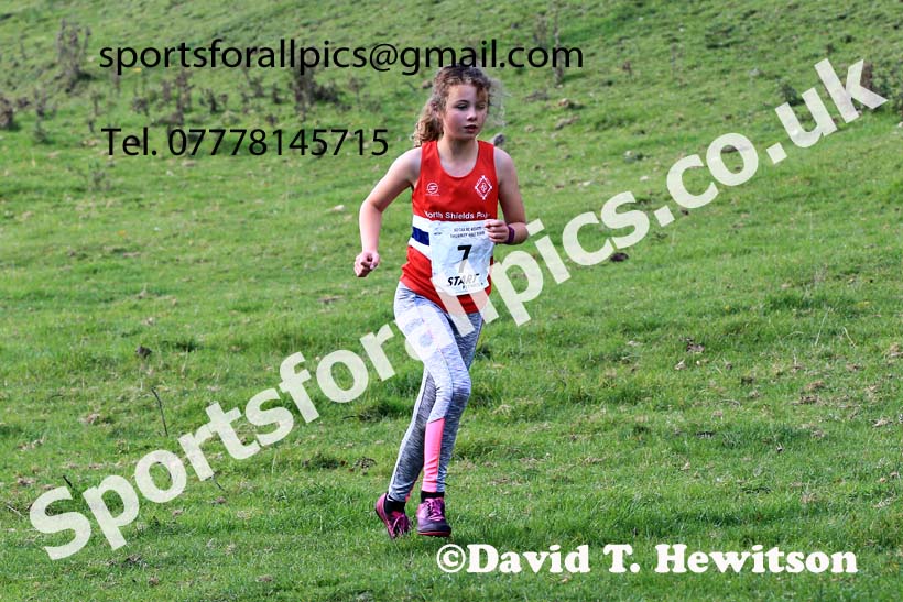 Girls under-13s, 2022 NECAA Cross Country Relays, Thornley Hall Farm, Peterlee, County Durham, October 15th. Photo: David T. Hewitson/Sports for All Pics